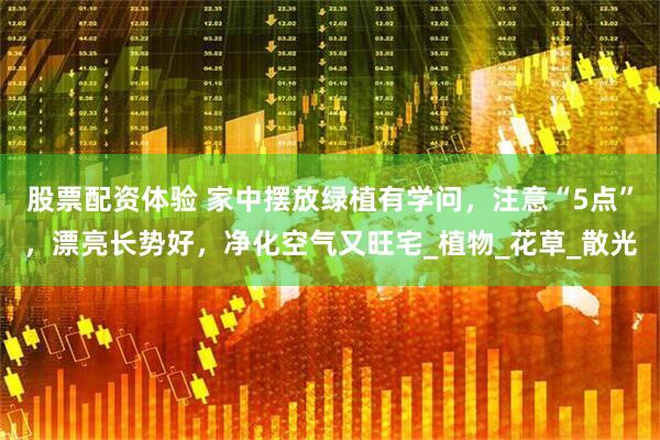 股票配资体验 家中摆放绿植有学问，注意“5点”，漂亮长势好，净化空气又旺宅_植物_花草_散光