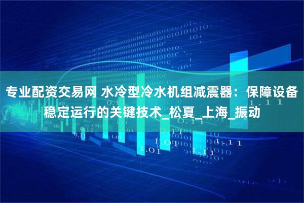 专业配资交易网 水冷型冷水机组减震器：保障设备稳定运行的关键技术_松夏_上海_振动