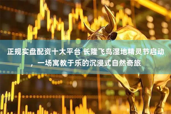 正规实盘配资十大平台 长隆飞鸟湿地精灵节启动，一场寓教于乐的沉浸式自然奇旅