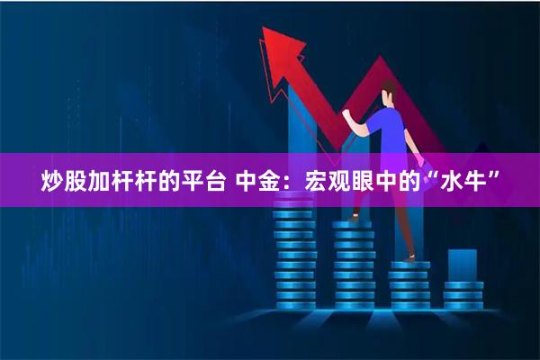 炒股加杆杆的平台 中金：宏观眼中的“水牛”
