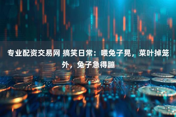 专业配资交易网 搞笑日常：喂兔子晃，菜叶掉笼外，兔子急得蹦
