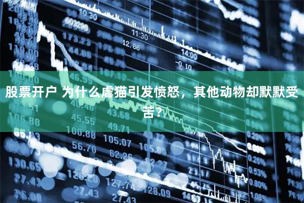 股票开户 为什么虐猫引发愤怒，其他动物却默默受苦？