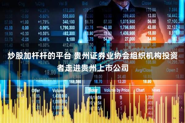 炒股加杆杆的平台 贵州证券业协会组织机构投资者走进贵州上市公司