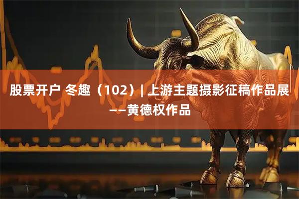 股票开户 冬趣(102)| 上游主题摄影征稿作品展——黄德权作品