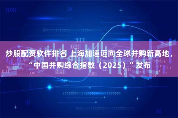 炒股配资软件排名 上海加速迈向全球并购新高地，“中国并购综合指数（2025）”发布