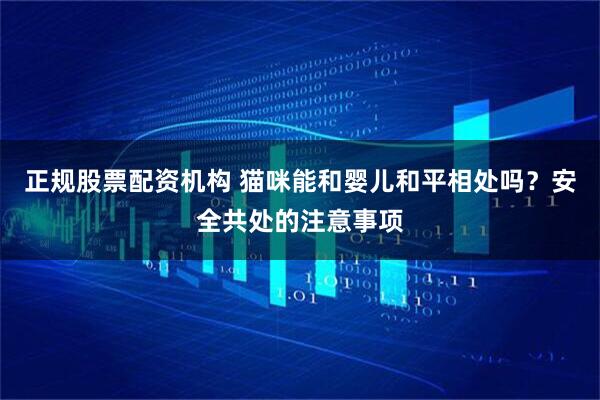 正规股票配资机构 猫咪能和婴儿和平相处吗？安全共处的注意事项