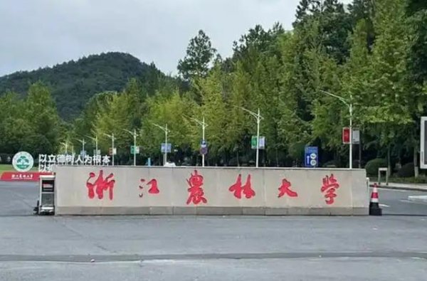 配资平台官方 浙江18所大学入围国内300强！浙农林领先温大，浙传远超湖师院